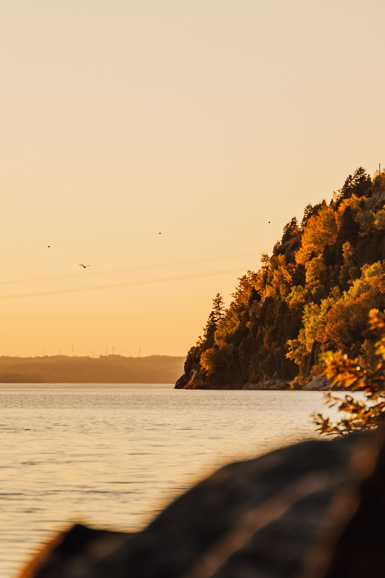 Québec : Mon Aventure